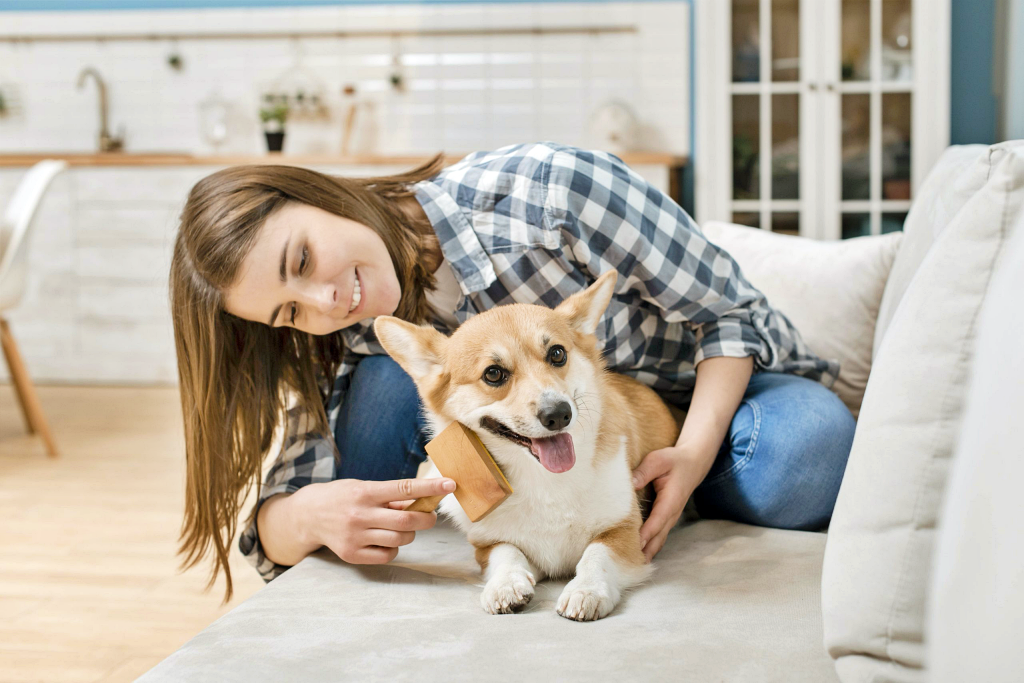 Cepillar el pelo del perro correctamente