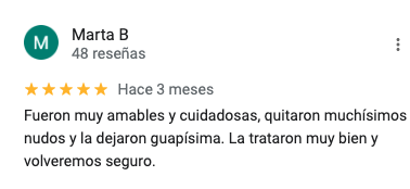 Reseña 3 peluqueria de perros Santo Perro