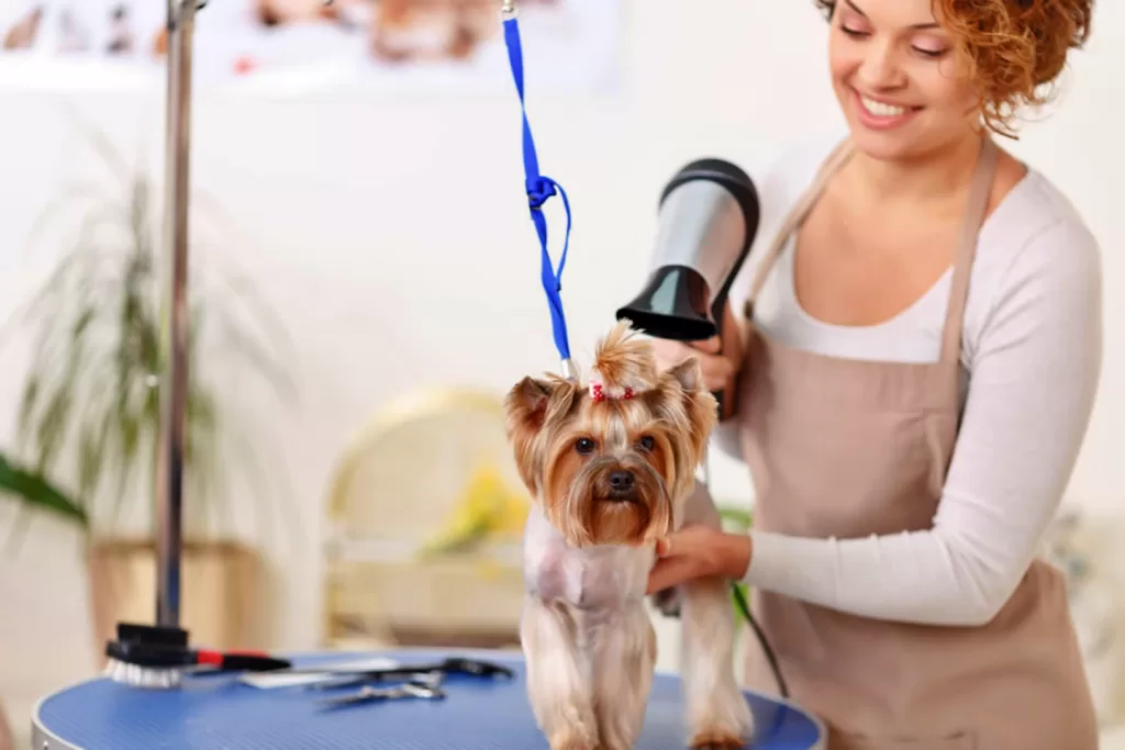 Peluquerias Caninas en Granada